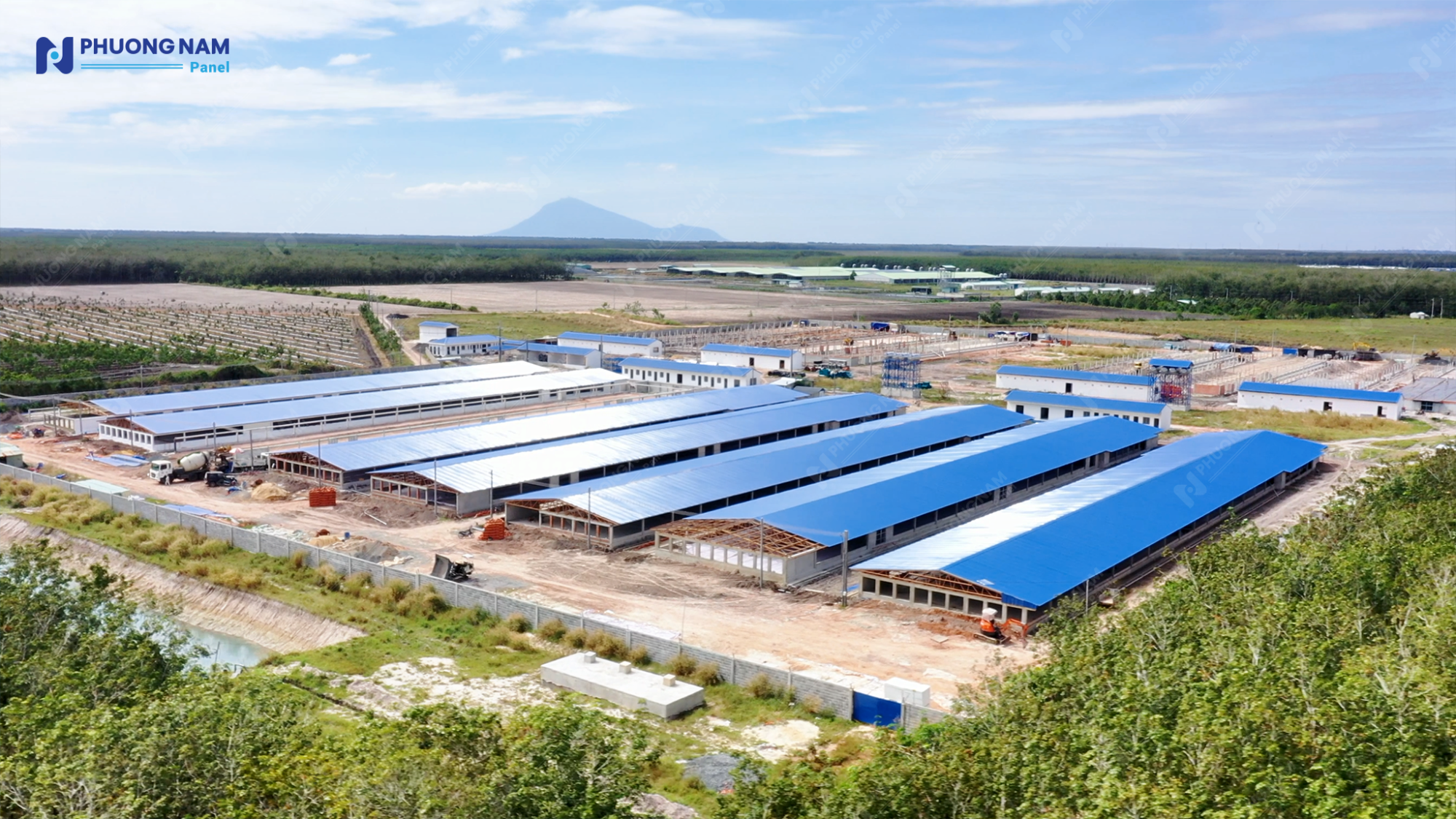 DỰ ÁN CHUỖI TRẠI GÀ AN PHÁT