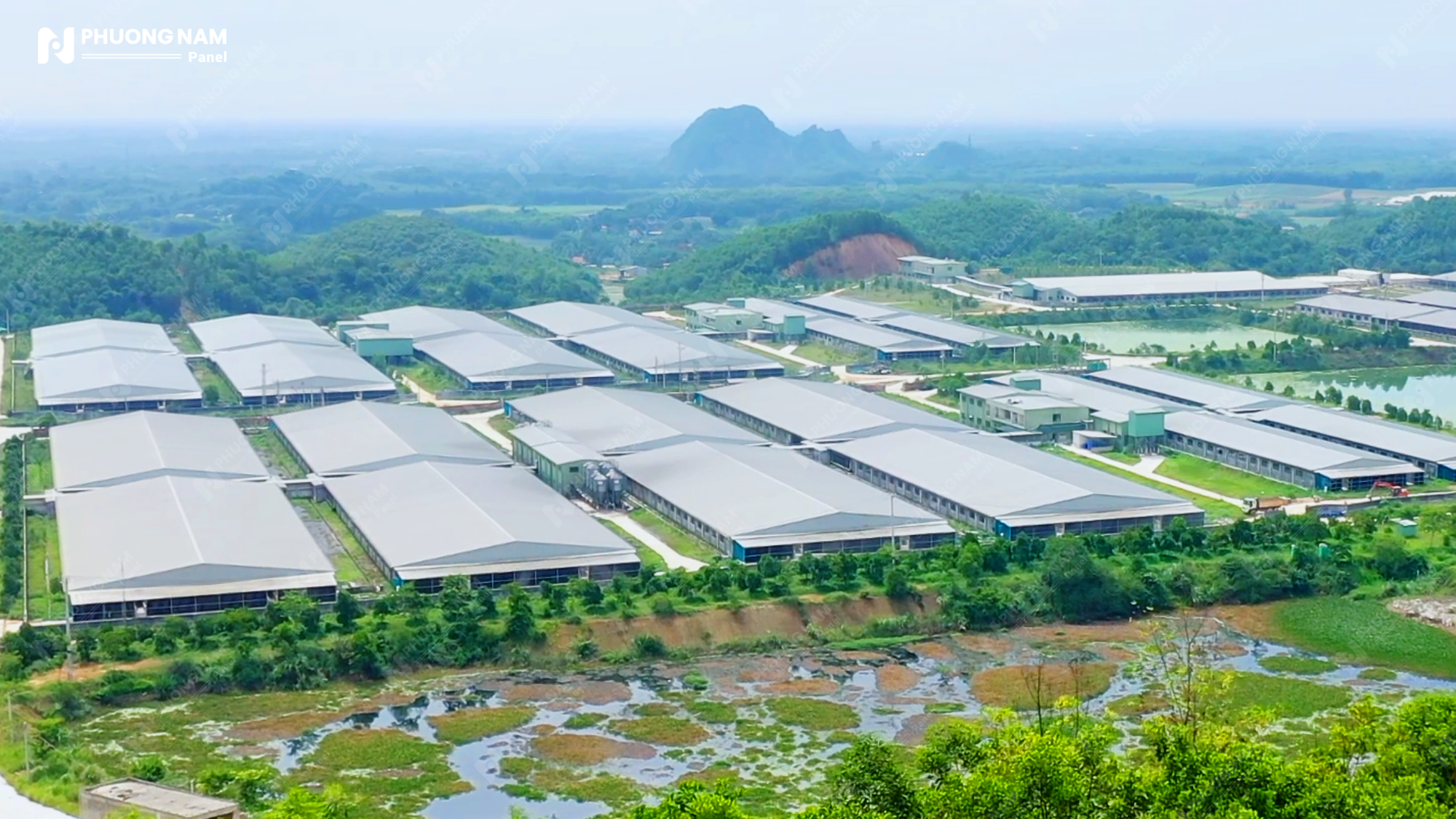 DỰ ÁN TRẠI HEO CÔNG NGHỆ CAO XUÂN THIỆN